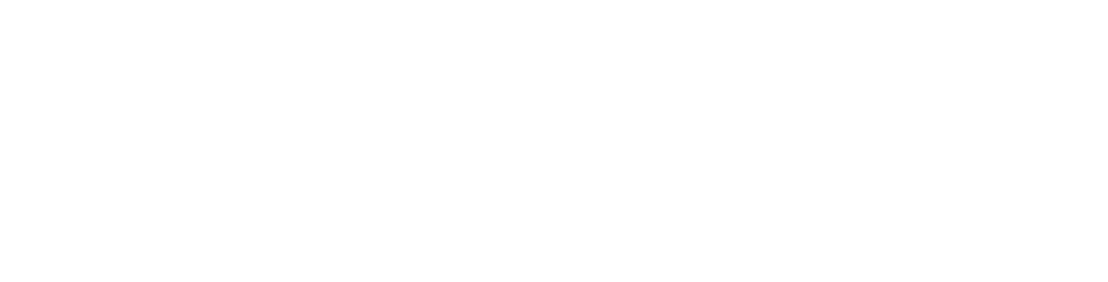 logo-bn-4